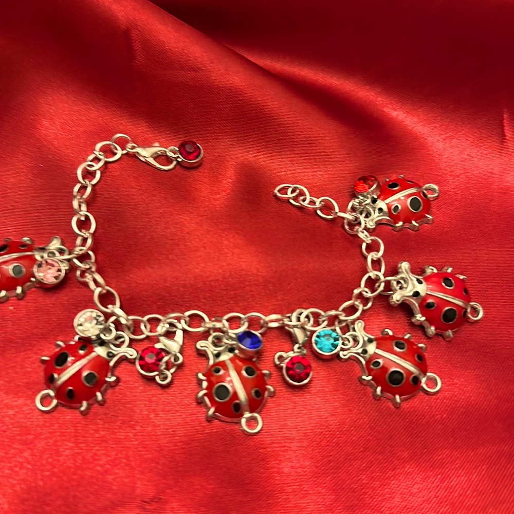 Fun and precious lady bug charm with jewel